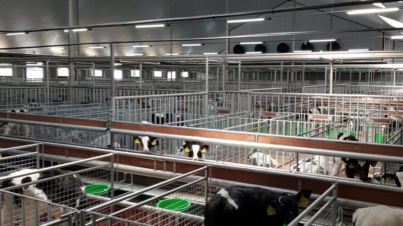 广州跨境电商店铺运营方案：关键要素与实操要点